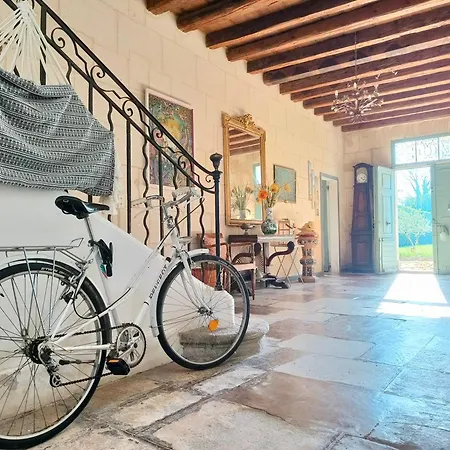 La Folie Mas Provencal Climatise Avec Piscine Bed & Breakfast *